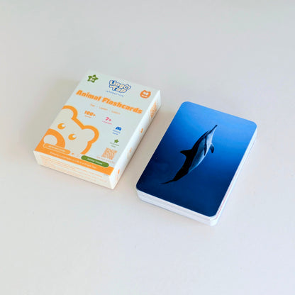 Animal Adventure Kit