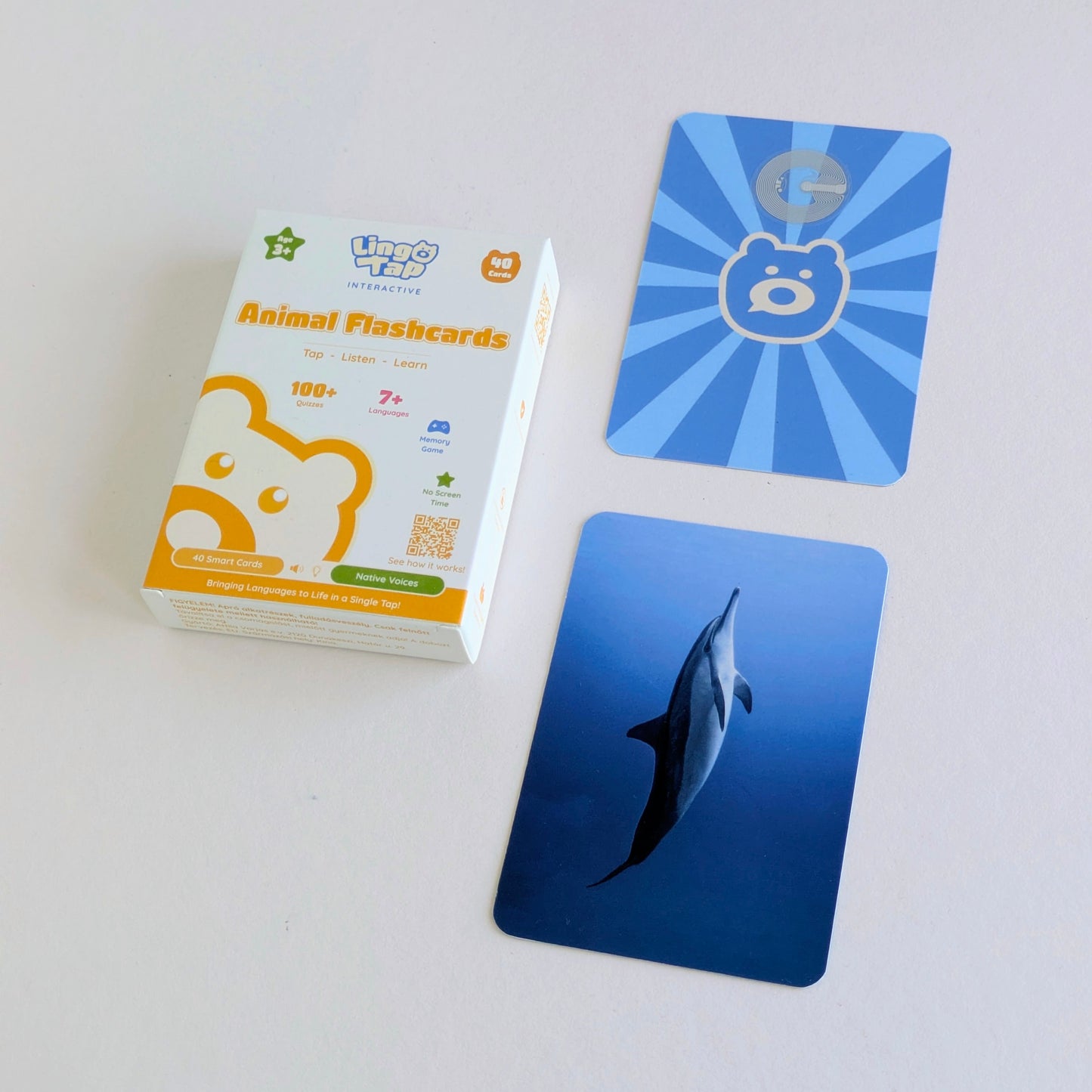 Animal Flash Cards