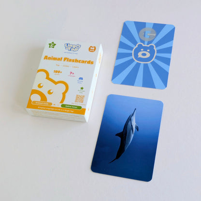 Complete Learning Bundle